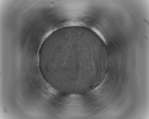 X0000096991419200802221447