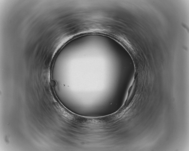 X0000096991420200802221447
