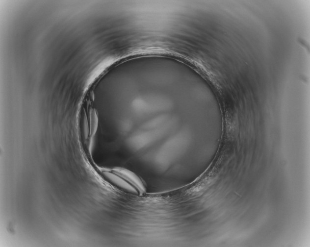 X0000096991422200802221447