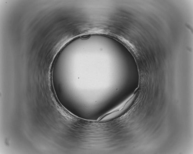 X0000096991423200802221447