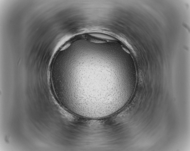 X0000096991424200802221447