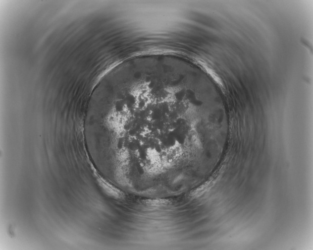 X0000096991425200802221447
