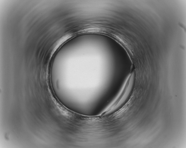 X0000096991426200802221447