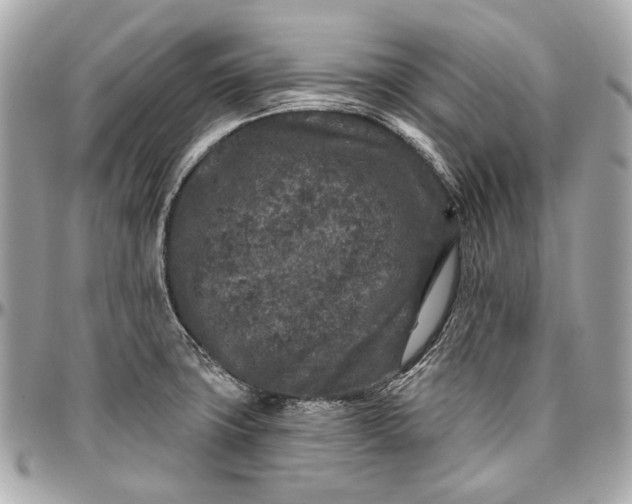 X0000096991427200802221447