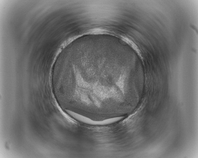 X0000096991429200802221447