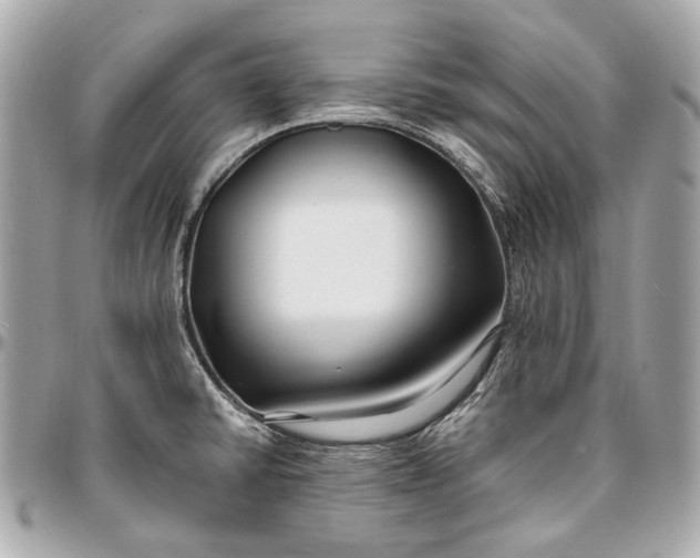 X0000096991430200802221447