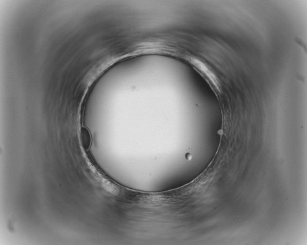 X0000096991431200802221447