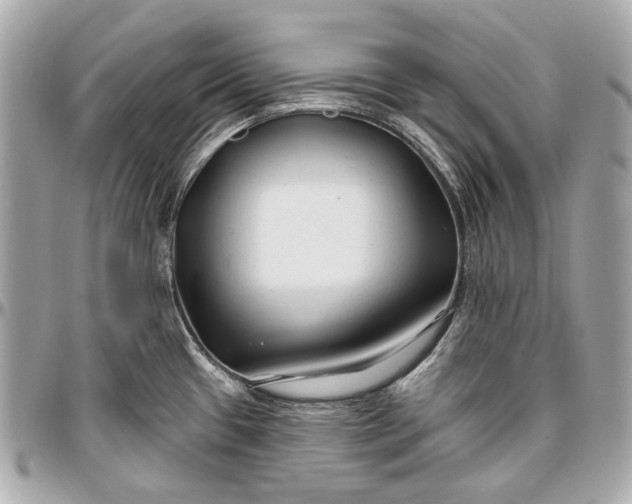 X0000096991433200802221447