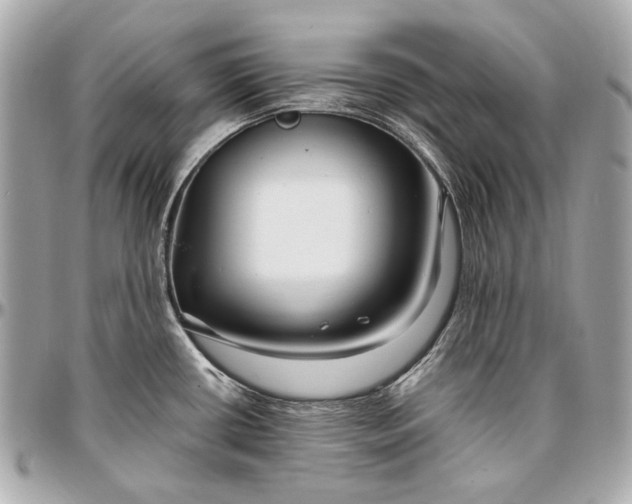 X0000096991434200802221447