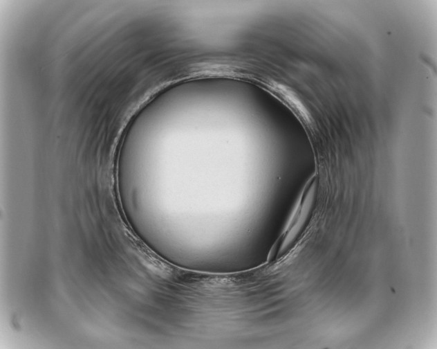 X0000096991435200802221447