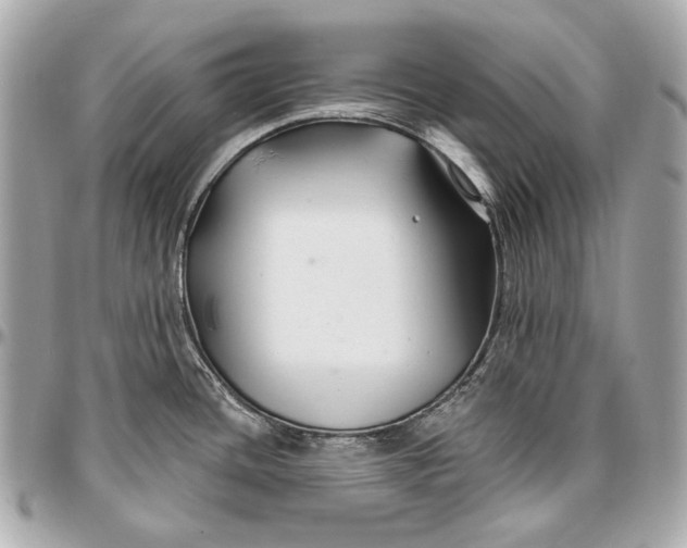 X0000096991436200802221447