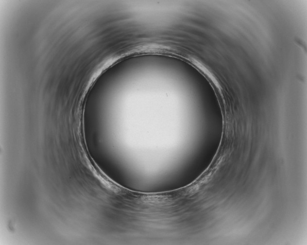 X0000096991437200802221447