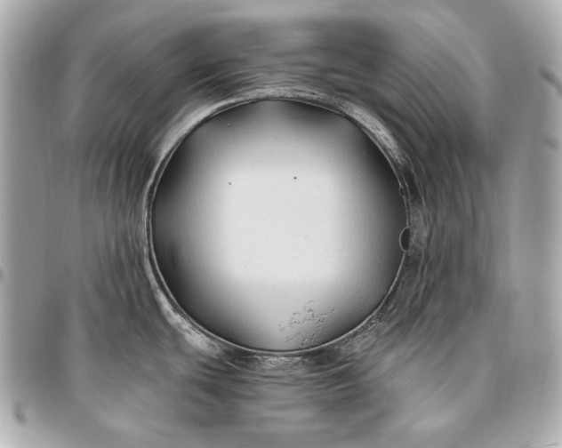 X0000096991439200802221447