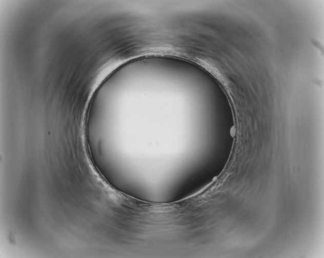 X0000096991440200802221447