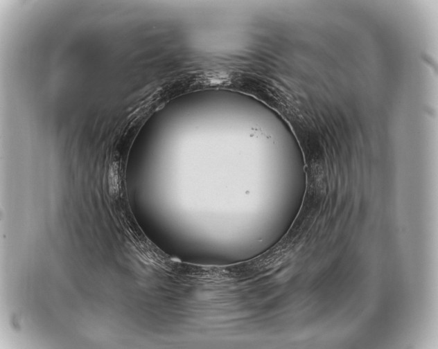 X0000096991442200802221446