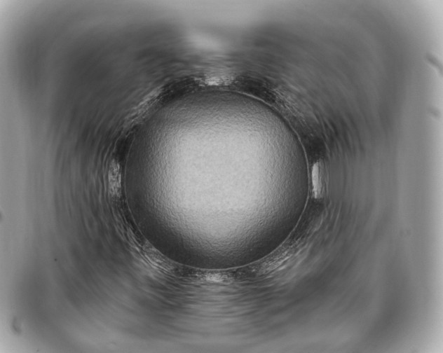 X0000096991443200802221446