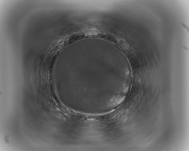 X0000096991445200802221446
