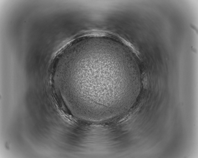 X0000096991448200802221446