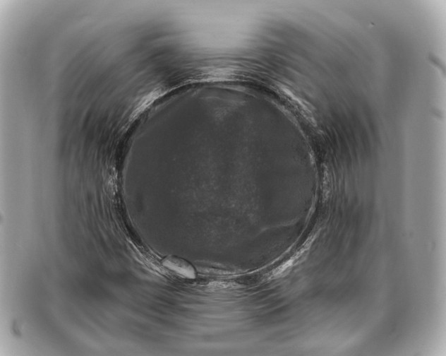X0000096991449200802221446