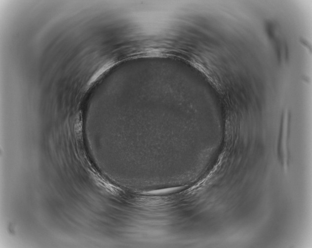 X0000096991450200802221446
