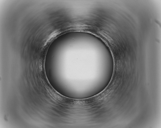 X0000096991451200802221446