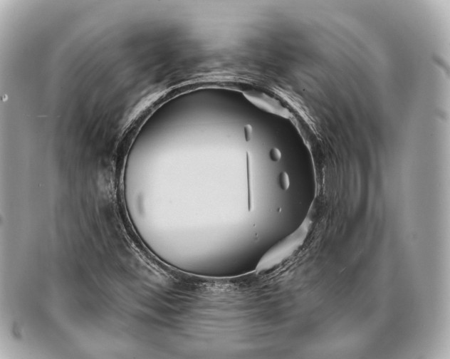 X0000096991452200802221446