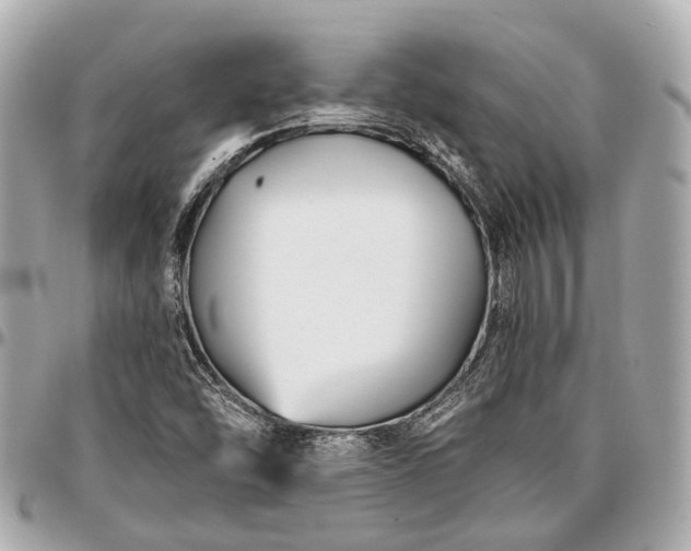 X0000096991454200802221446