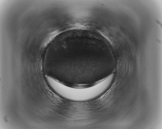 X0000096991455200802221446