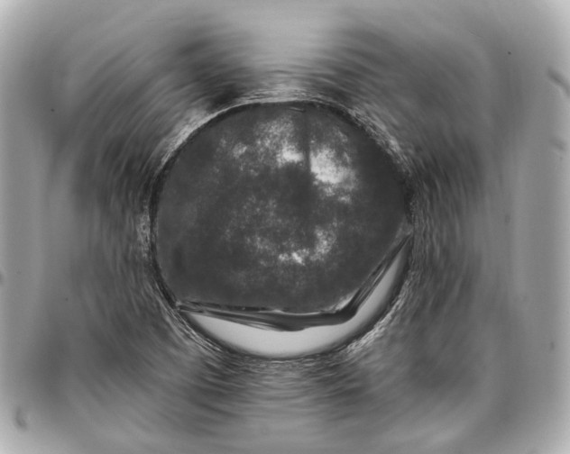 X0000096991457200802221446