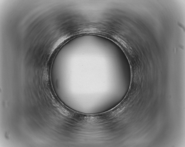 X0000096991458200802221446