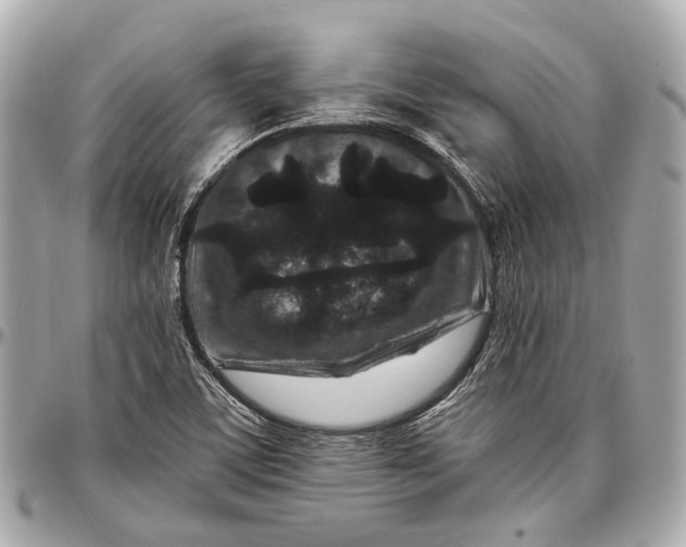 X0000096991459200802221446