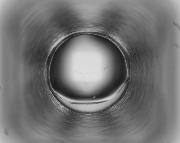 X0000096991460200802221446