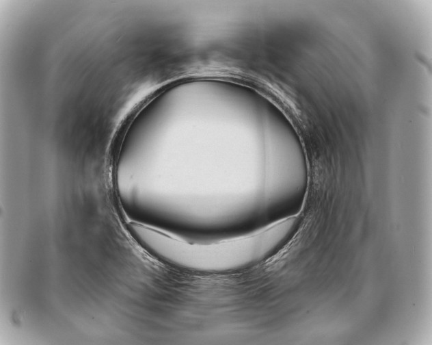 X0000096991462200802221446