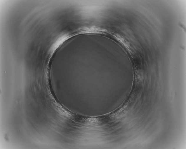 X0000096991463200802221446