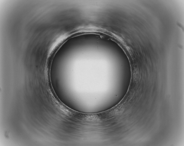 X0000096991464200802221446