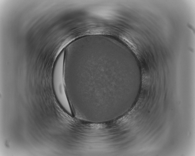 X0000096991465200802221446