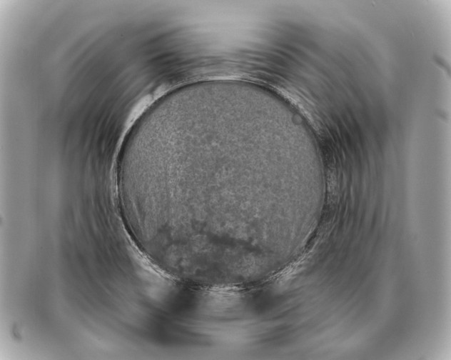 X0000096991466200802221446
