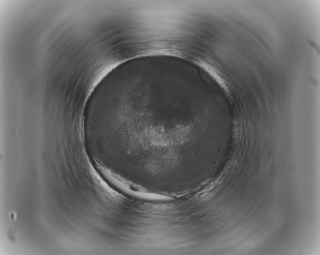 X0000096991468200802221446