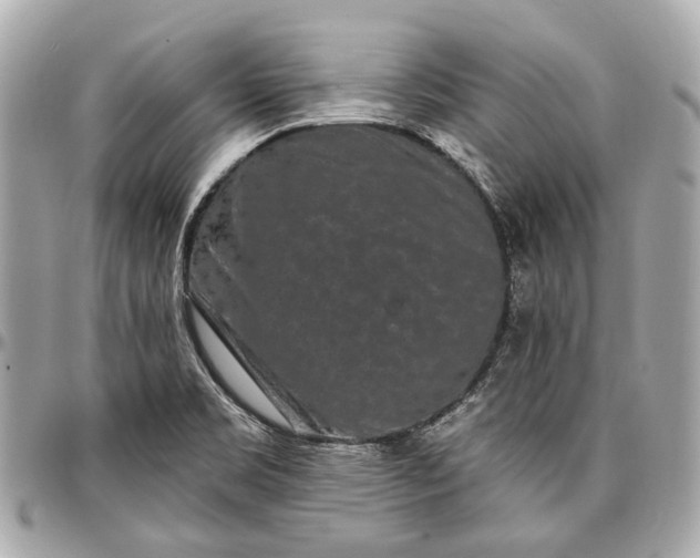 X0000096991469200802221446
