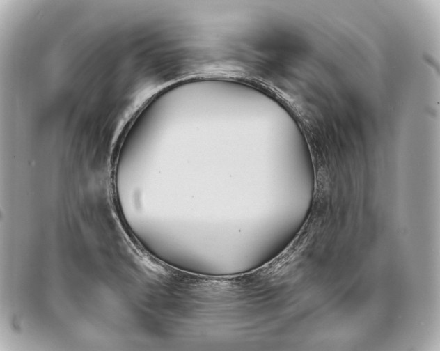 X0000096991470200802221446