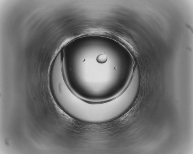 X0000096991471200802221446