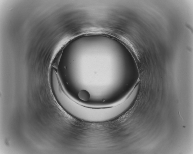 X0000096991472200802221446