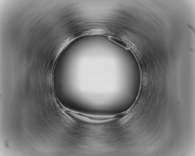 X0000096991473200802221446