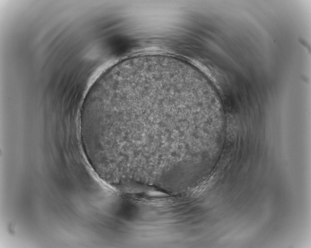X0000096991474200802221446