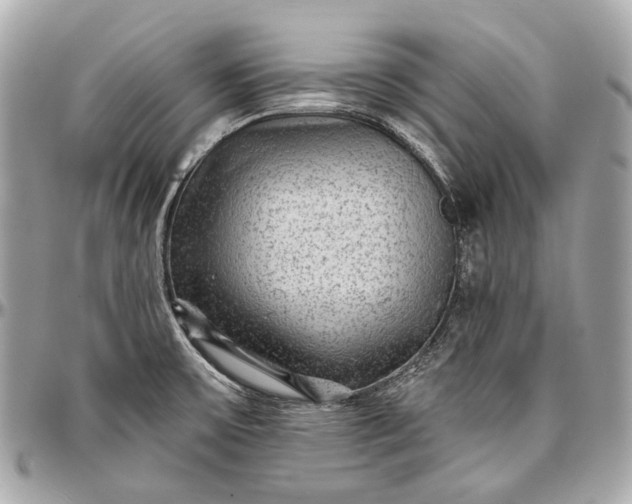 X0000096991475200802221446
