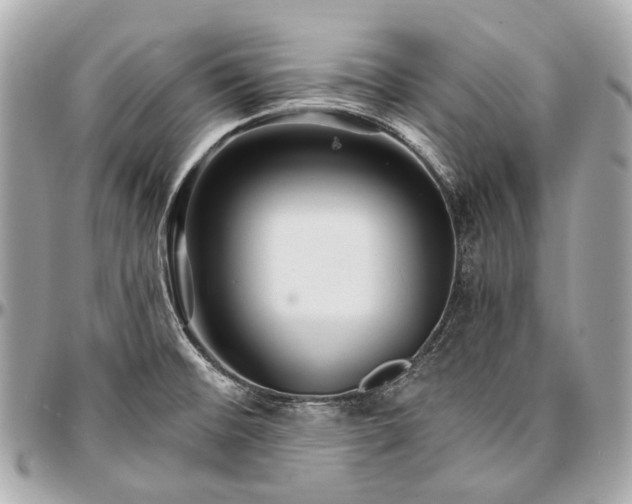 X0000096991476200802221446