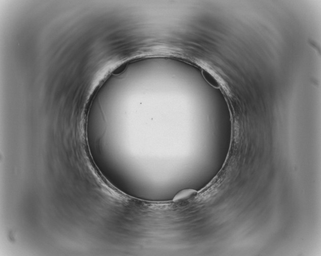 X0000096991477200802221446