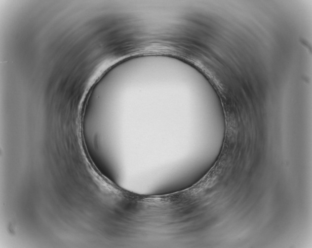 X0000096991478200802221446