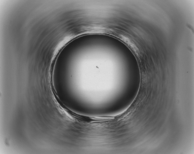 X0000096991480200802221446