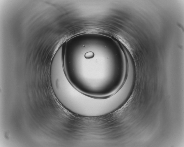 X0000096991481200802221446
